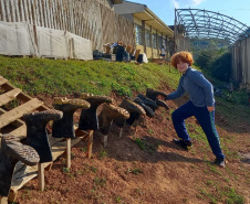 Hortas nutrem novos saberes e escolhas saudáveis nas escolas da rede pública do Paraná