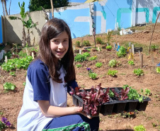 Hortas nutrem novos saberes e escolhas saudáveis nas escolas da rede pública do Paraná