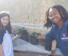 Hortas nutrem novos saberes e escolhas saudáveis nas escolas da rede pública do Paraná