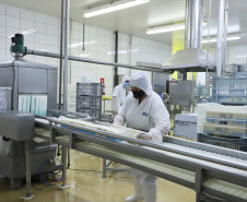 Taxa de desocupação no Paraná cai para 3,5%, menor para um terceiro trimestre na história