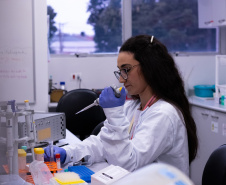 SEIA - Número de startups no Paraná explode nos últimos sete anos e cresce 656%