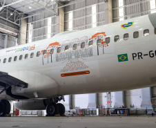 AVIÃO GOL