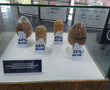 DARCI PIANA - ARQUIVO PÚBLICO