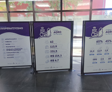 DARCI PIANA - ARQUIVO PÚBLICO