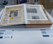 DARCI PIANA - ARQUIVO PÚBLICO