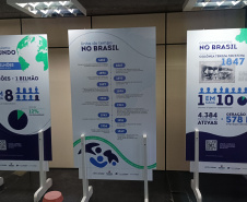 DARCI PIANA - ARQUIVO PÚBLICO