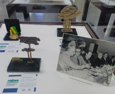 DARCI PIANA - ARQUIVO PÚBLICO