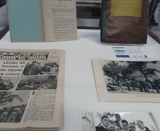 DARCI PIANA - ARQUIVO PÚBLICO