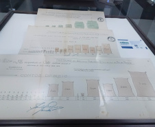 DARCI PIANA - ARQUIVO PÚBLICO