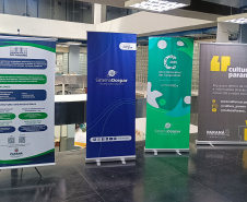 DARCI PIANA - ARQUIVO PÚBLICO