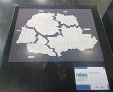 DARCI PIANA - ARQUIVO PÚBLICO