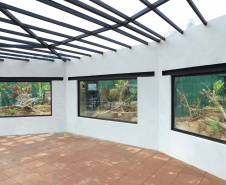 Novo atrativo: Foz do Iguaçu ganha um dos maiores aquários da América Latina