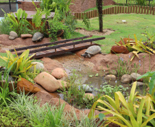 Novo atrativo: Foz do Iguaçu ganha um dos maiores aquários da América Latina