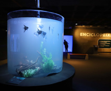 Novo atrativo: Foz do Iguaçu ganha um dos maiores aquários da América Latina