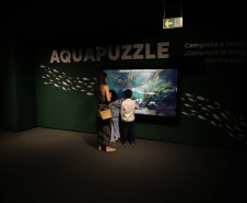 Novo atrativo: Foz do Iguaçu ganha um dos maiores aquários da América Latina