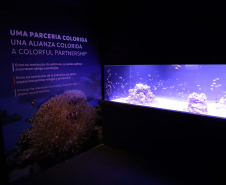 Novo atrativo: Foz do Iguaçu ganha um dos maiores aquários da América Latina