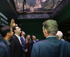 Novo atrativo: Foz do Iguaçu ganha um dos maiores aquários da América Latina