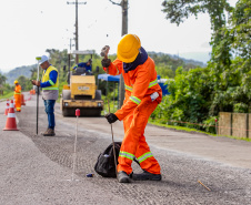 Portos do Paraná inicia pavimentação em concreto da Avenida Conde Matarazzo, em Antonina