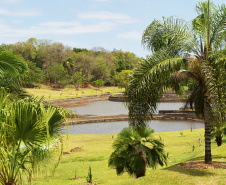 Trinta espaços ambientais do Paraná estarão abertos ao público durante o feriado prolongado da Consciência Negra