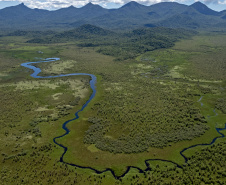 VIAJE PARANÁ - Experiências turísticas do Paraná são destaque em guia nacional durante a COP30