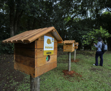 MON recebe três casas de abelhas nativas do Projeto Poliniza Paraná