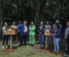 MON recebe três casas de abelhas nativas do Projeto Poliniza Paraná