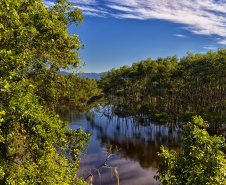 Trinta espaços ambientais do Paraná estarão abertos ao público durante o feriado prolongado da Consciência Negra
