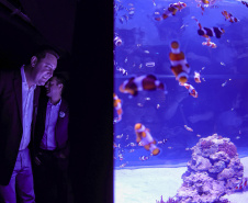 Novo atrativo: Foz do Iguaçu ganha um dos maiores aquários da América Latina