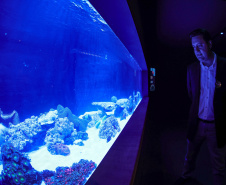 Novo atrativo: Foz do Iguaçu ganha um dos maiores aquários da América Latina