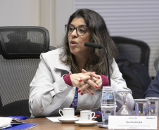 Reunião GGI sobre Rio Bonito