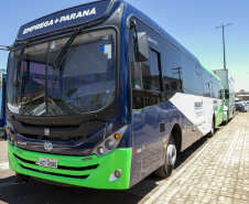Ônibus Emprega Mais e Detran