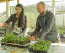 Paraná incentiva o fomento à pesquisa com bolsas que cobrem toda a trajetória acadêmica e profissional