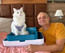 SEIA - Número de startups no Paraná explode nos últimos sete anos e cresce 656%