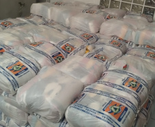 Com 5 decretos homologados, Defesa Civil reforça orientações sobre pedidos emergenciais