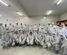 Treinamento sobre suspeitas e emergências avícolas é promovido pelo Governo do Paraná