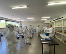 Treinamento sobre suspeitas e emergências avícolas é promovido pelo Governo do Paraná