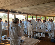 Treinamento sobre suspeitas e emergências avícolas é promovido pelo Governo do Paraná