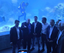 Novo atrativo: Foz do Iguaçu ganha um dos maiores aquários da América Latina