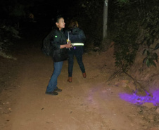 SESA - Ações no Norte Pioneiro somam mais de 5 mil capturas de escorpiões nos últimos meses