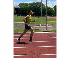 Apoiada pelo Estado, startup curitibana abre oportunidades para atletas e impulsiona carreiras