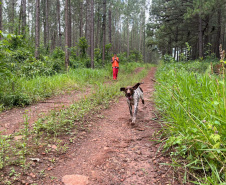 CBMPR realiza 2ª Certificação Nacional de Cães de Busca e Resgate em Cianorte