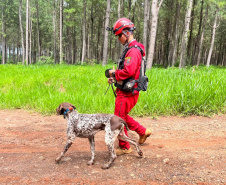 CBMPR realiza 2ª Certificação Nacional de Cães de Busca e Resgate em Cianorte