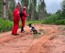 CBMPR realiza 2ª Certificação Nacional de Cães de Busca e Resgate em Cianorte