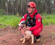 CBMPR realiza 2ª Certificação Nacional de Cães de Busca e Resgate em Cianorte