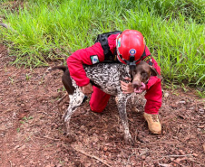 CBMPR realiza 2ª Certificação Nacional de Cães de Busca e Resgate em Cianorte