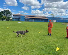 CBMPR realiza 2ª Certificação Nacional de Cães de Busca e Resgate em Cianorte