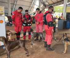 Preparação e resposta: formandos da força-tarefa dos Bombeiros do Paraná atuaram em socorro após tornado
