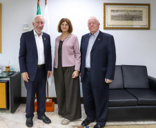 EMBAIXADORA ALEMANHA VICE GOV