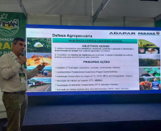 Adapar promove visitas em plantações e seminário sobre a vassoura-de-bruxa da mandioca durante Fiman 2025, em Paranavaí