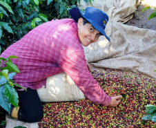 23ª edição do Concurso Café Qualidade Paraná comprova a força da mulher no campo
